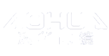 上海澳華內(nèi)窺鏡